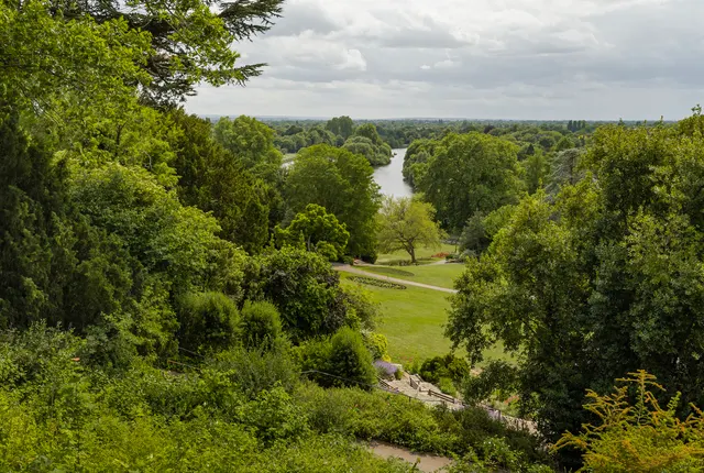 Photo 2 — Richmond Hill, Richmond, South West London