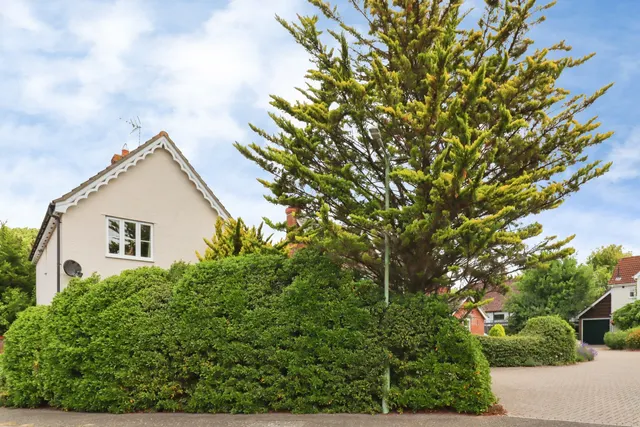 Orwell Avenue, Saxmundham, IP17, photo 3