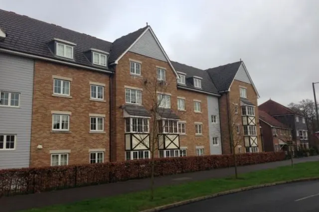 Richards Field, Chineham, Basingstoke, Basingstoke, RG24 8JZ, photo 1