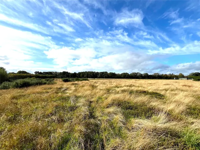 Photo 3 — Foxbury Road, St. Leonards, Ringwood, Dorset, BH24 2SG