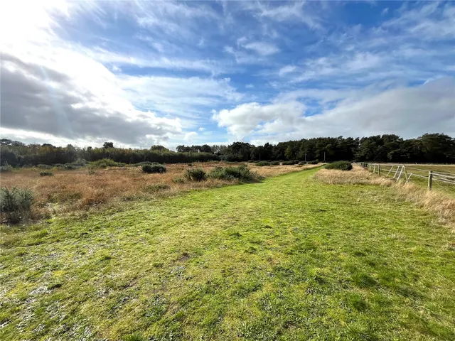 Photo 2 — Foxbury Road, St. Leonards, Ringwood, Dorset, BH24 2SG