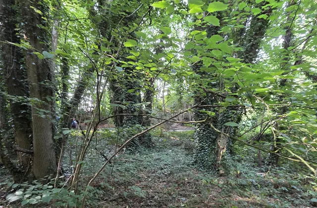 Whitepost Lane, Meopham, DA13, photo 2