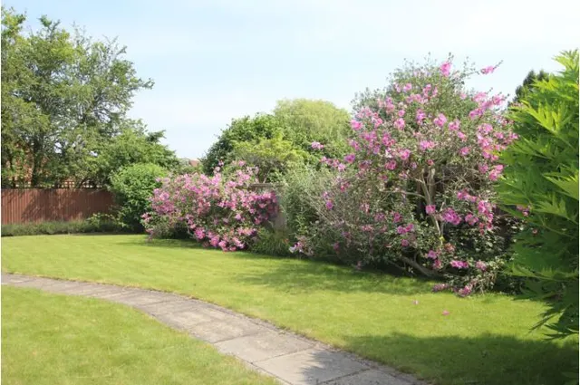 Queen Ediths Way, Cambridge, CB1, photo 3
