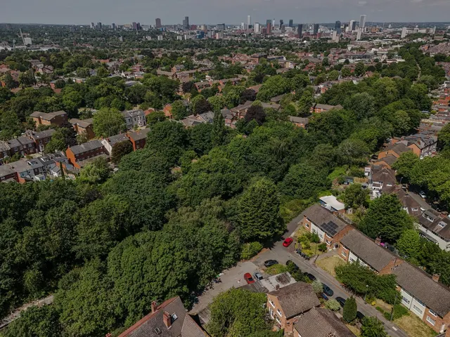 Grayfield Avenue, Birmingham, B13, photo 3