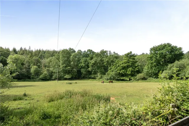 Ringwood Road, Stoney Cross, SO43, photo 2