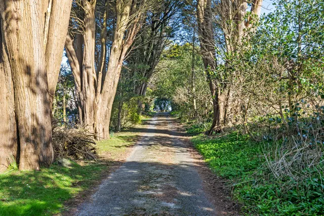 Photo 3 — Higher Lane, Langland, Swansea, SA3