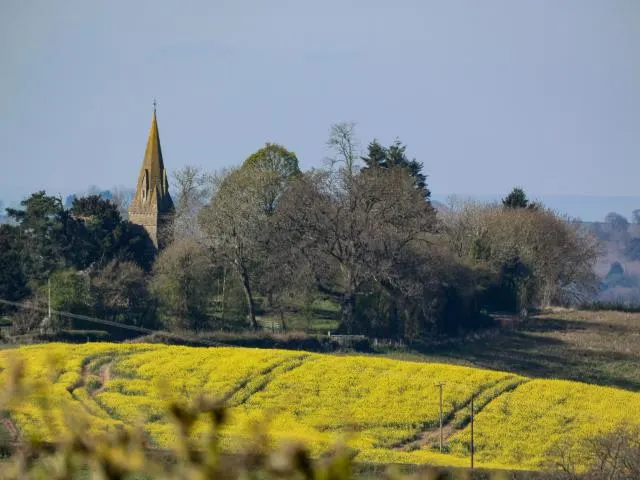 Tedstone Wafre, Bromyard, HR7, photo 3
