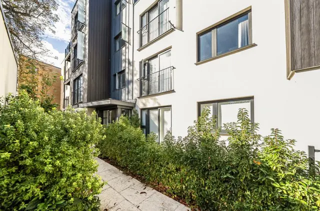 Lime Walk, Headington, OX3, photo 1