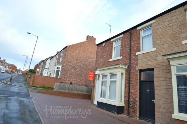 Homer Terrace, DH1, photo 1