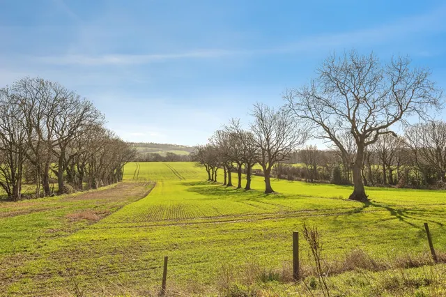 New Lane, Skelmanthorpe, HD8, photo 2