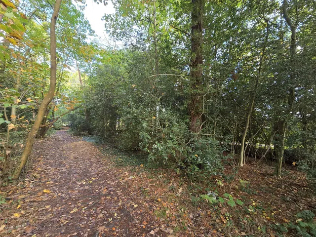 Horsham Road, Capel, RH5, photo 3