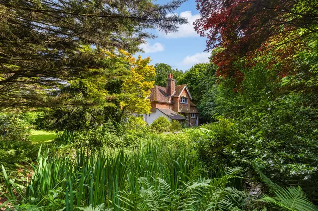 Rodgate Lane, Haslemere, GU27, photo 1