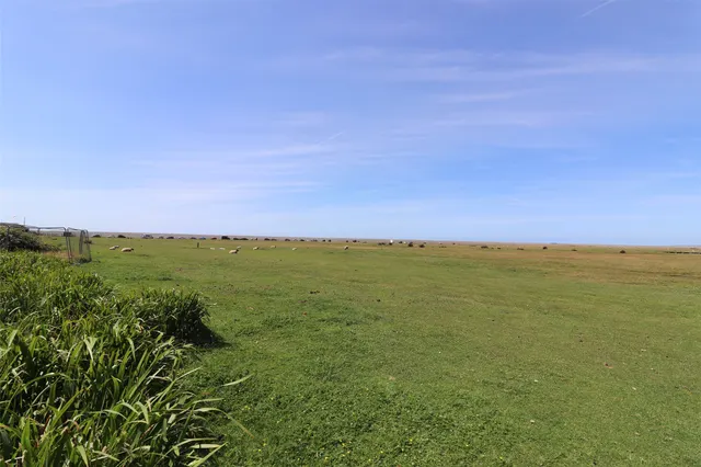 Aysha Gardens, Westward Ho!, EX39, photo 2