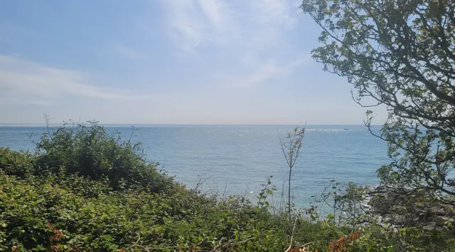 Bonchurch, PO38, photo 2