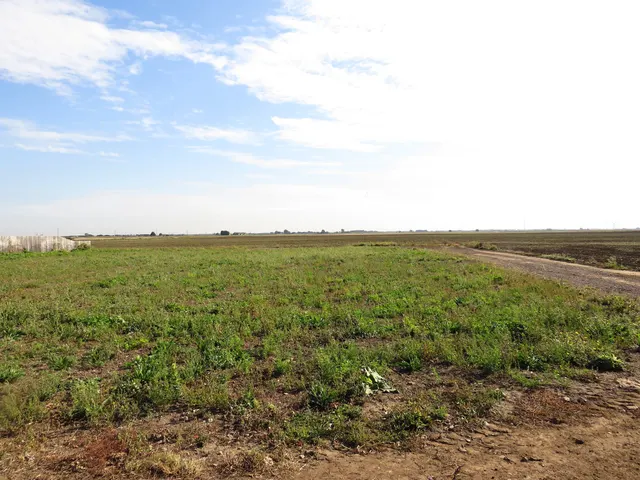 Whittlesey Road, March, PE15, photo 1