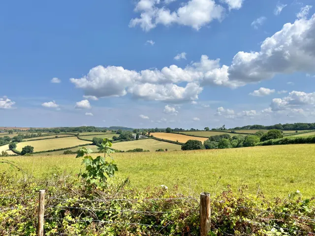 Glebe Cottage, Pillaton, PL12, photo 2