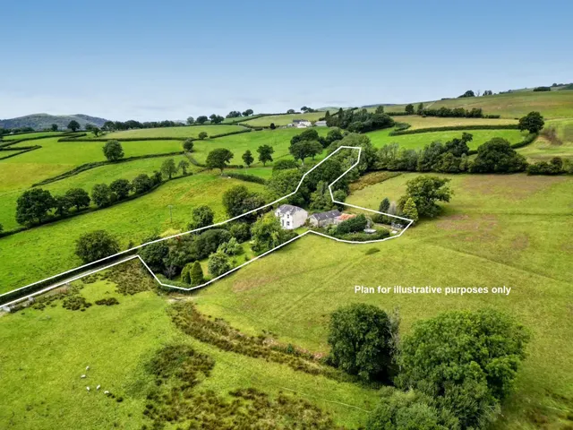 Y Wern, Llanwrda, photo 2