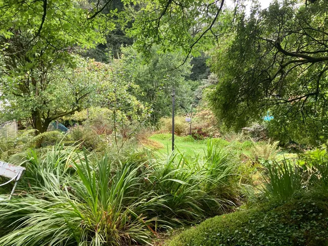 Grasmere, Ambleside, LA22, photo 3