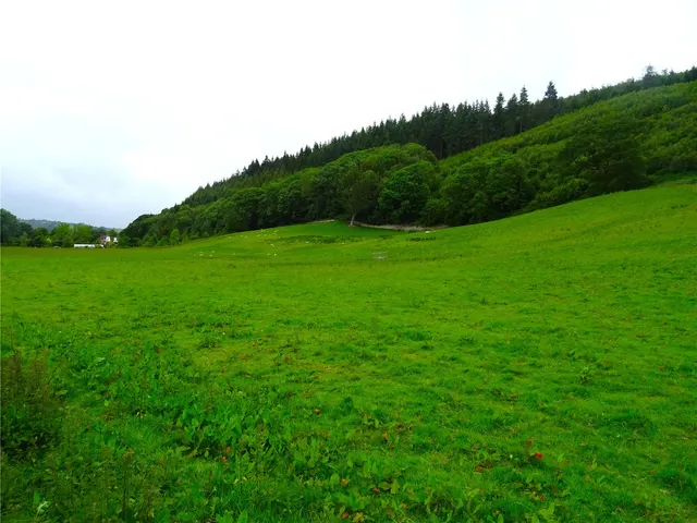 Land Formerly Part of Neuaddllwyd, Llandinam, photo 2