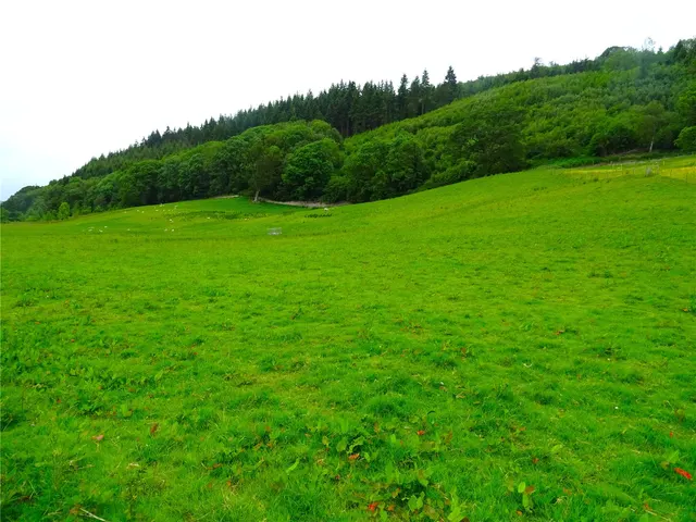 Land Formerly Part of Neuaddllwyd, Llandinam, photo 1