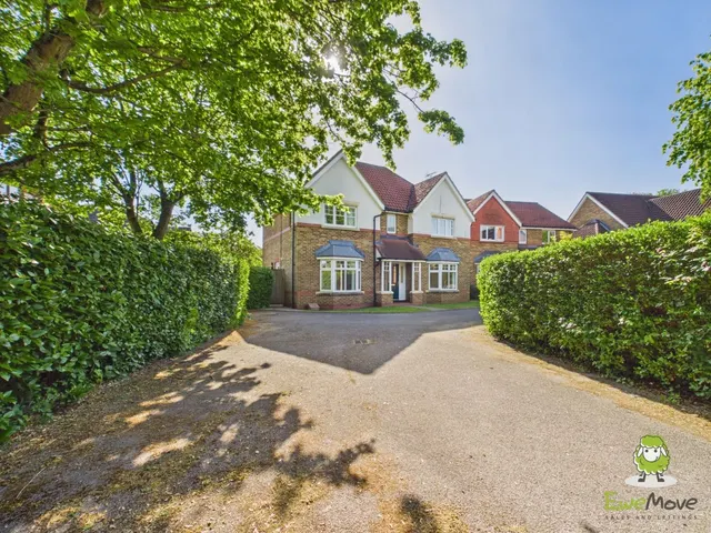 Wallis Drive, Bramley, RG26, photo 1
