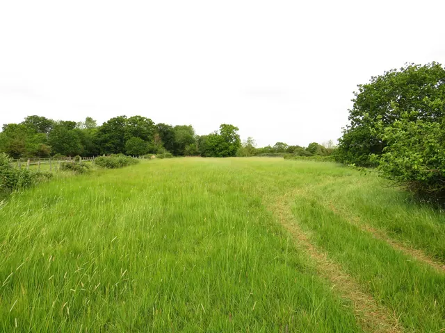 Westfield Road, Manea, March, photo 1