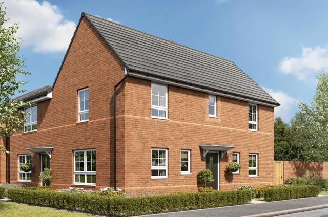 Badger Sett, Sutton-in-Ashfield, NG17, photo 1