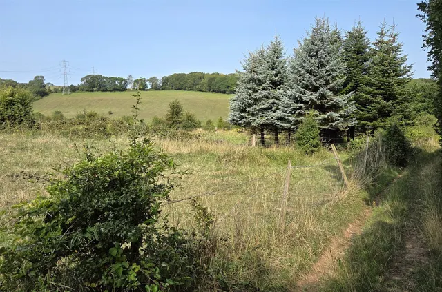 Blackness Lane, Milchden, BR2, photo 2