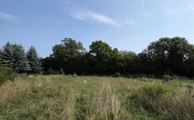 Blackness Lane, Milchden, BR2, photo 3