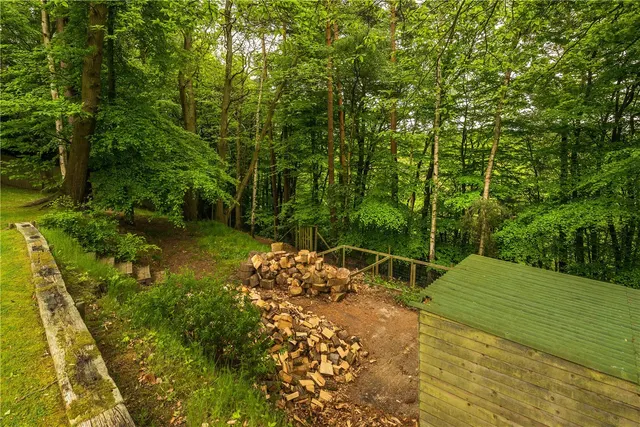 Photo 3 — Headley Hill Road, Arford, Hampshire, GU35