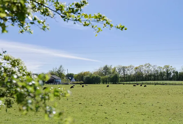 Preston Road, Charnock Richard, photo 2