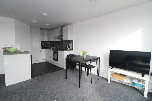 Infirmary Road, Sheffield, S6, photo 3