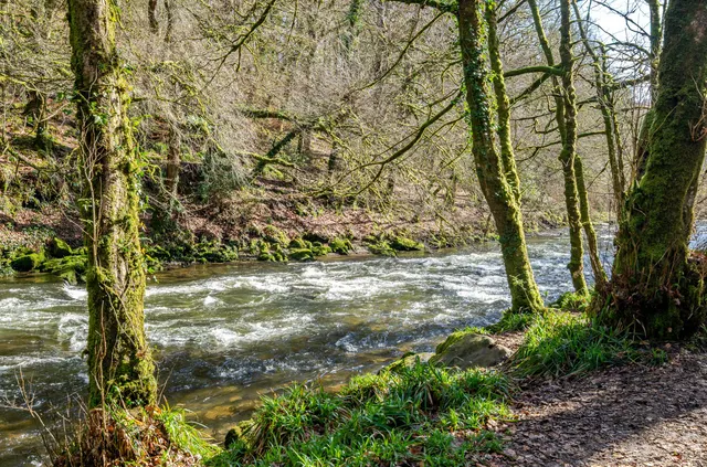 Dulverton, TA22, photo 3