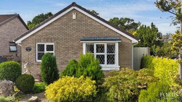 Nant Y Dowlais, Cardiff, CF5, photo 1