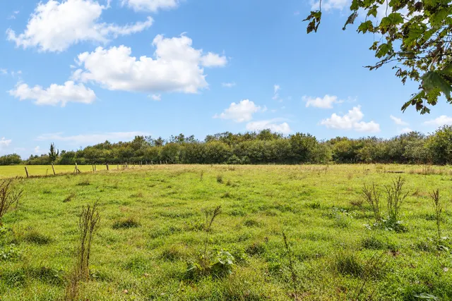 Morval, Looe, PL13, photo 2