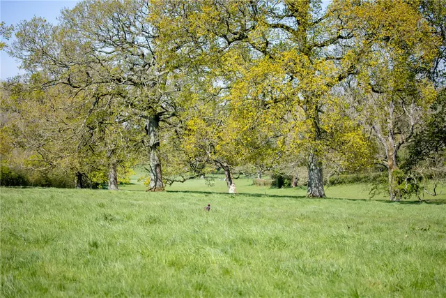 East Meon, Petersfield, GU32, photo 2
