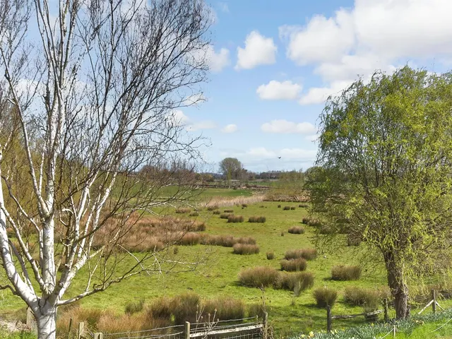 St Marys Meadow, Wingham, CT3, photo 2