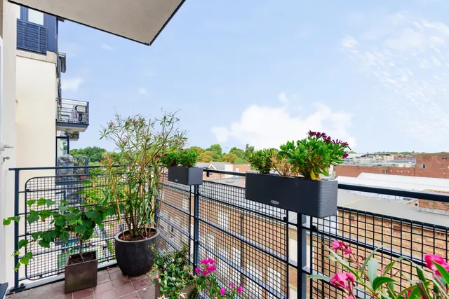 Jerome Place, Kingston Upon Thames, KT1, photo 3