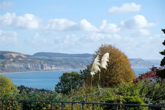 Clappentail Lane, Lyme Regis, DT7, photo 2