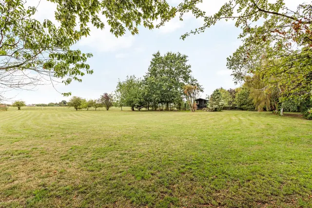 Detached Spacious Home in Walpole St, photo 2