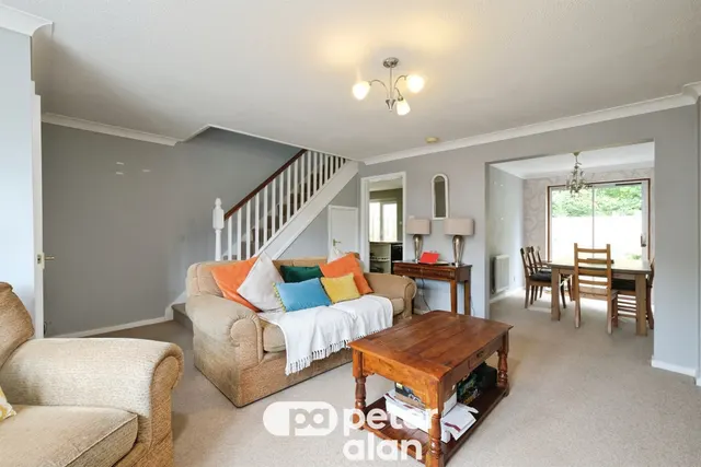 Grovers Field Mountain Ash, CF45, photo 3