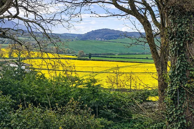 Wood Lane, Blue Anchor, TA24, photo 2