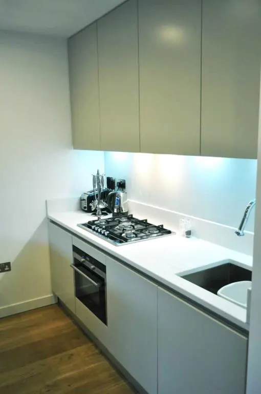 Simpson Loan, Edinburgh, EH3, photo 3