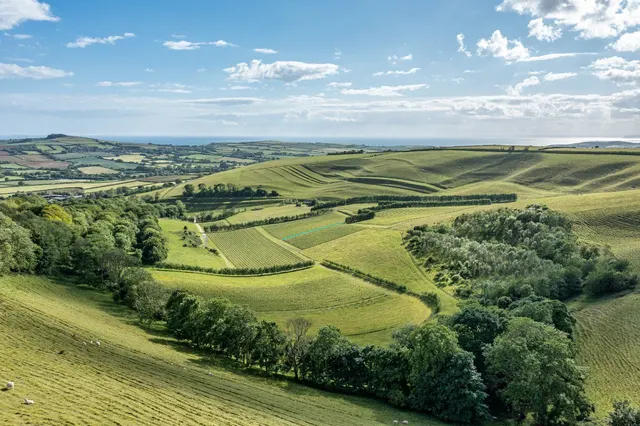 Litton Cheney, Dorchester, Dorset, DT2 9GE, photo 1