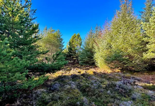 Photo 3 — Navidale, Helmsdale, Sutherland, KW8 6JS