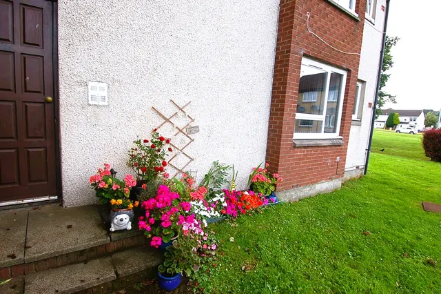 Maurice Avenue, Braehead, FK7, photo 2