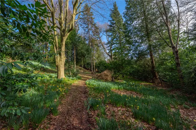 Photo 3 — Jubilee Road, Finchampstead, Wokingham, Berkshire, RG40