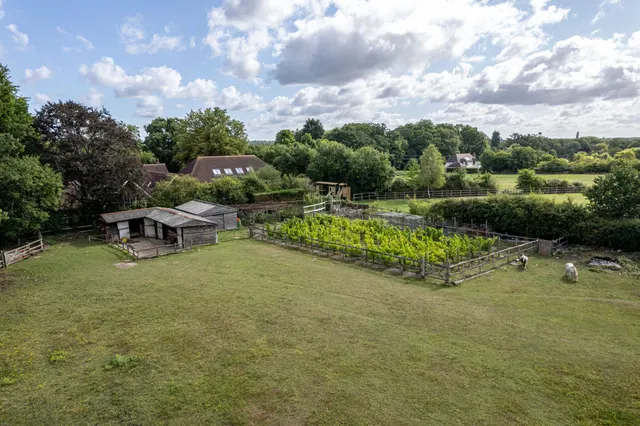 Photo 3 — Paddocks & Stable, Chatter Alley, Dogmersfield, RG27 8SS