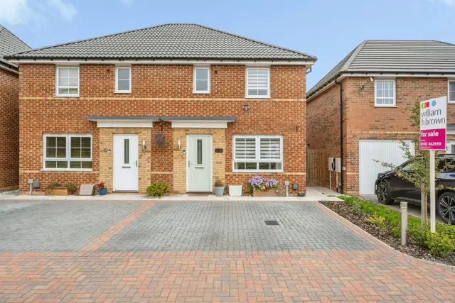 Farmhouse Drive, Hatfield, DN7, photo 1
