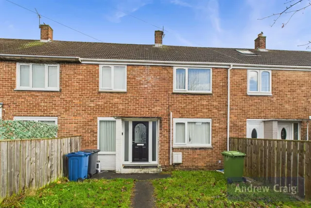 Whiteleas Way, South Shields, NE34, photo 1